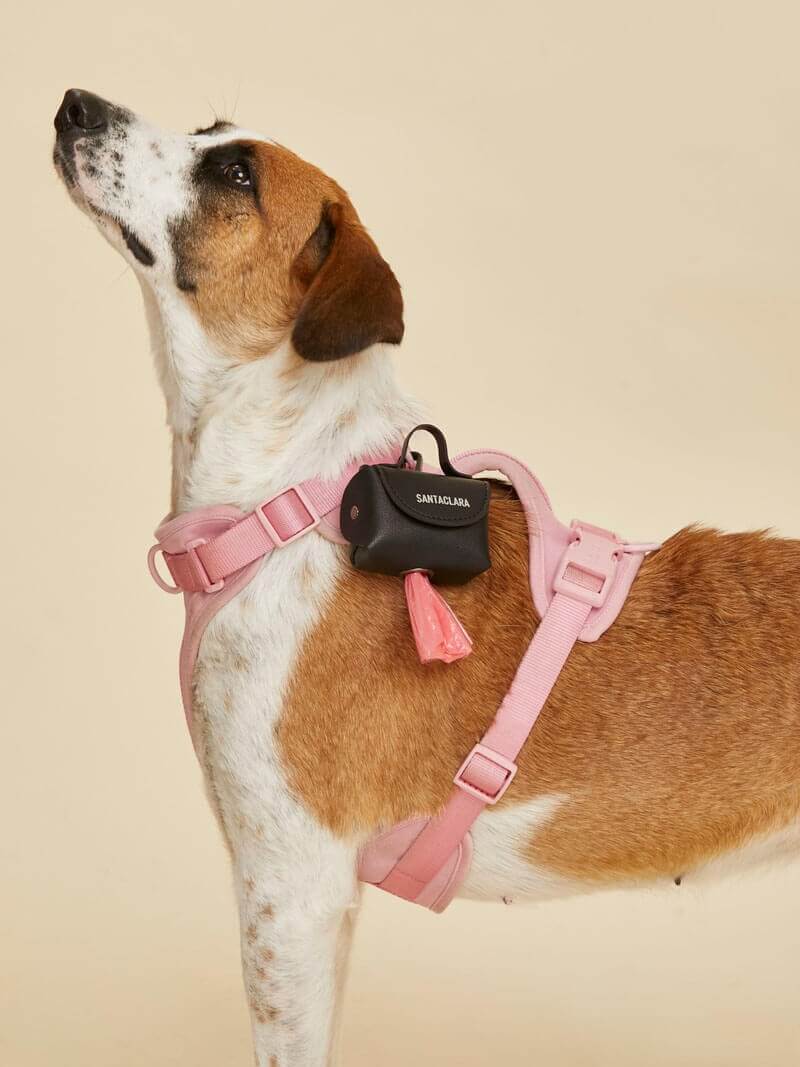 Poop Bag Huella Negro Para Mascotas