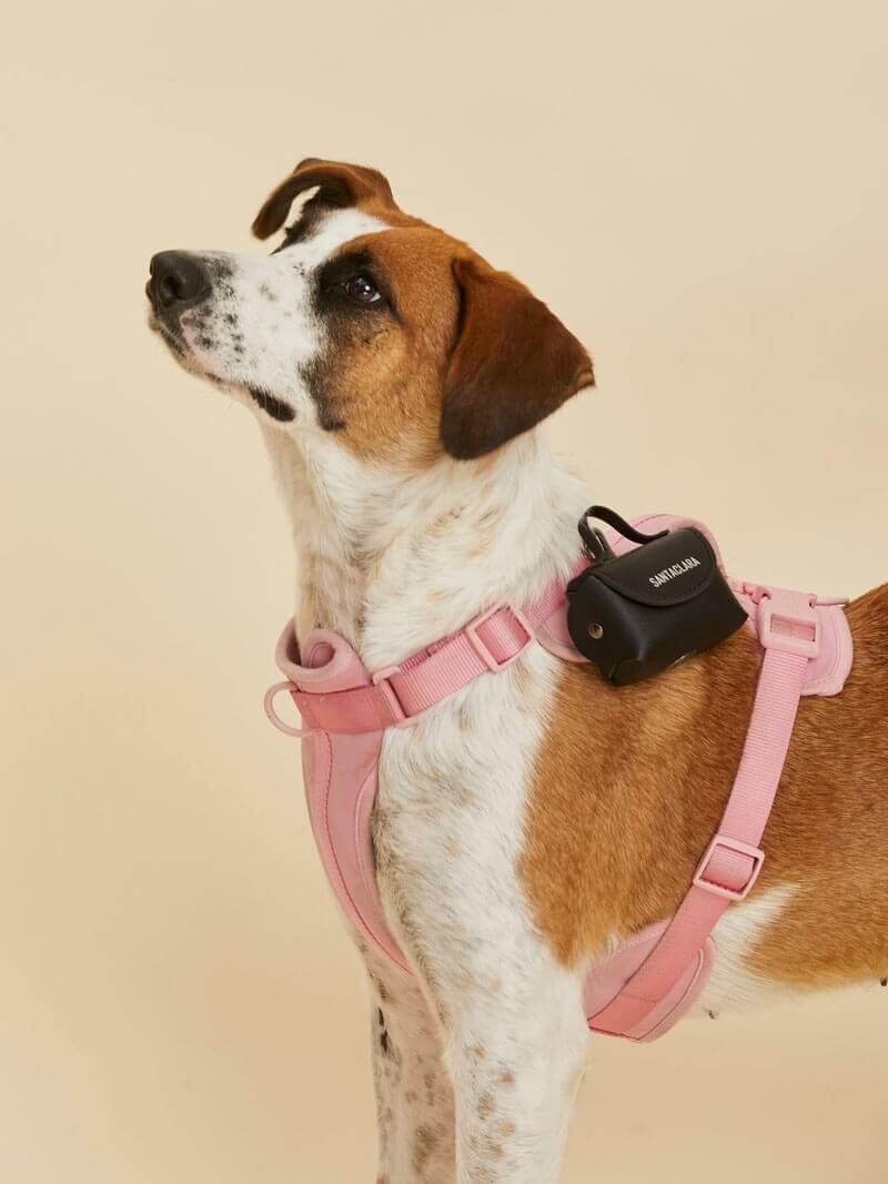 Poop Bag Huella Negro Para Mascotas