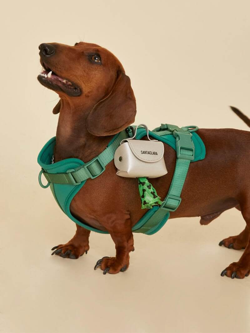 Poop Bag Huella Plata Para Mascotas