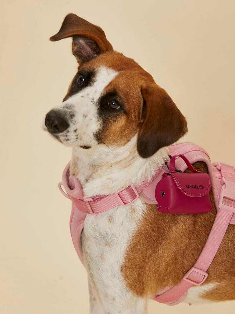 Poop Bag Huella Cereza Para Mascotas