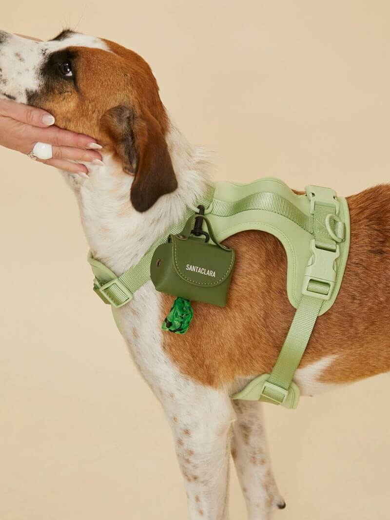 Poop Bag Huella Verde Para Mascotas