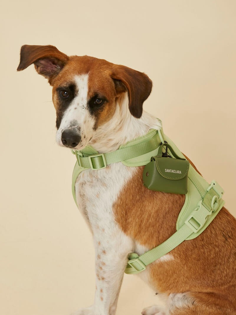 Poop Bag Huella Verde Para Mascotas