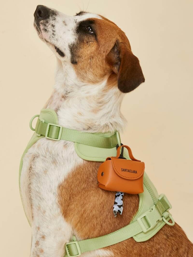 Poop Bag Huella Suela Para Mascotas