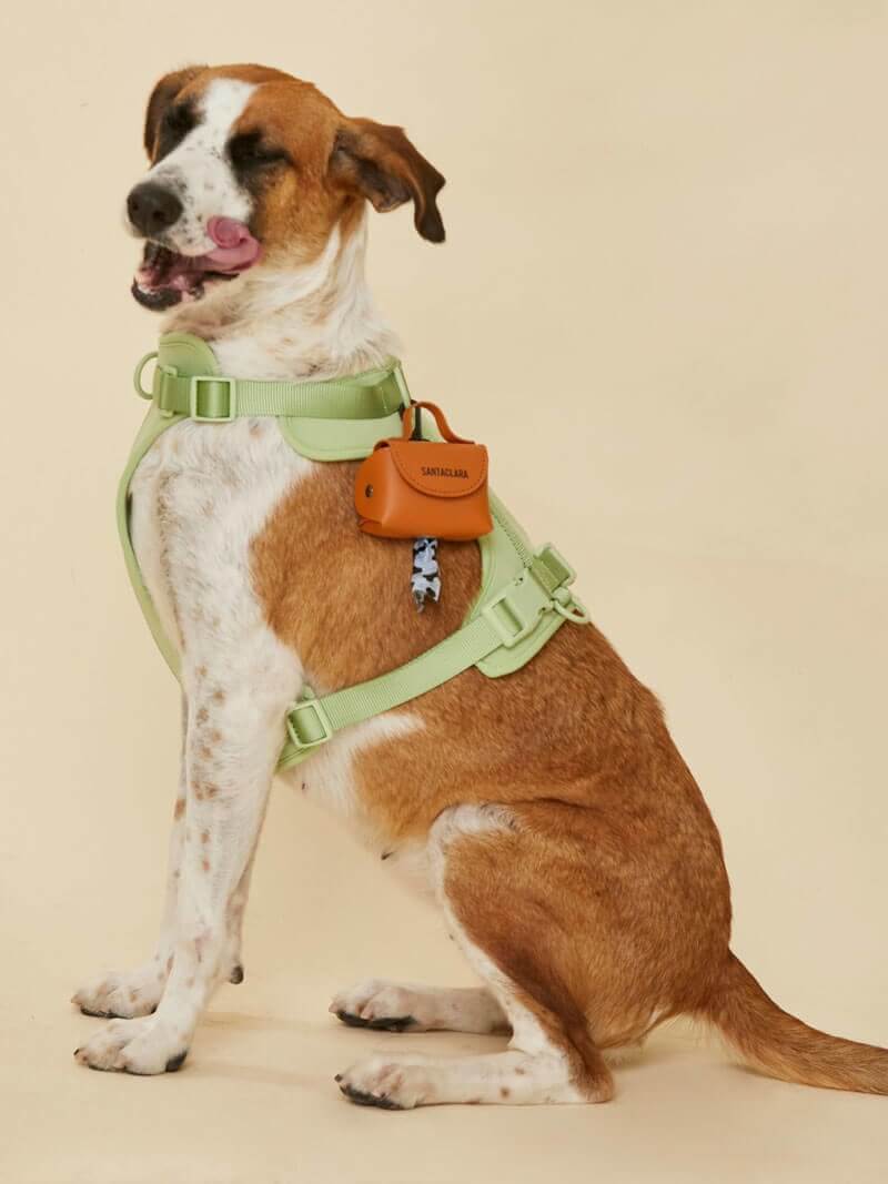 Poop Bag Huella Suela Para Mascotas