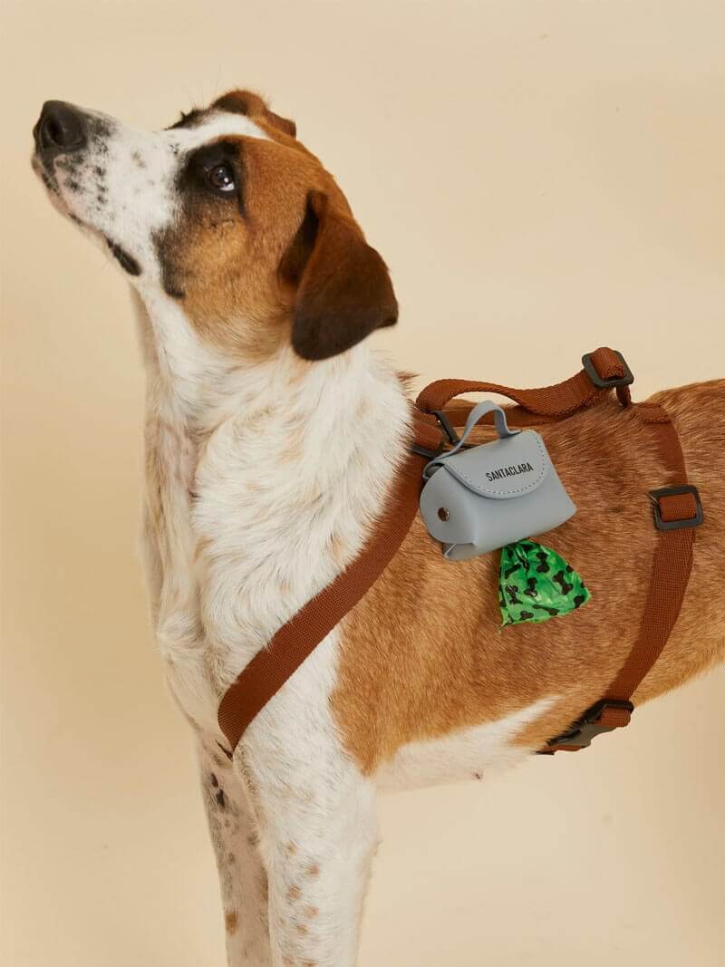 Poop Bag Huella Azul aero Para Mascotas