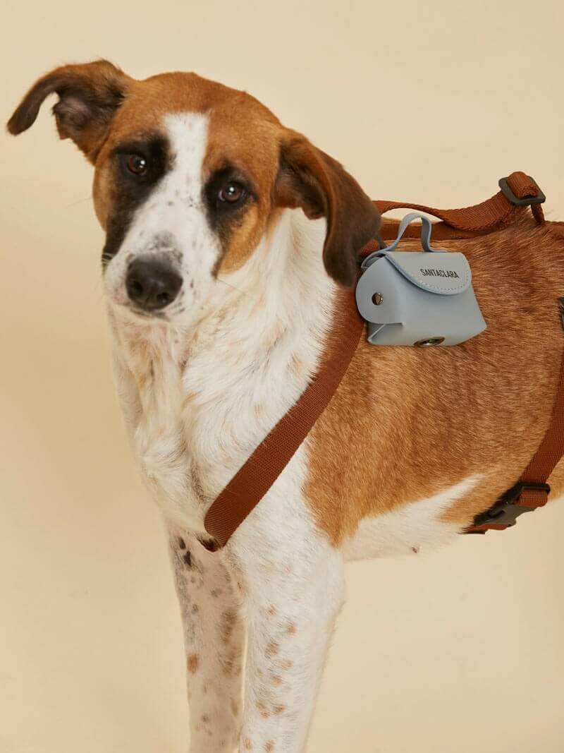 Poop Bag Huella Azul aero Para Mascotas