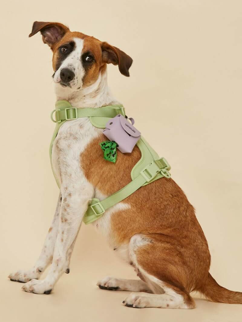 Poop Bag Huella Lila Para Mascotas