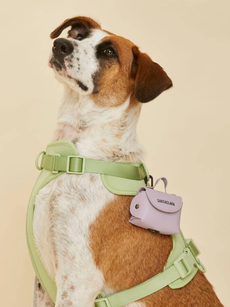 Poop Bag Huella Lila Para Mascotas